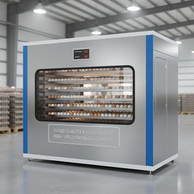 เครื่องเป่าไข่อบแห้งความเร็วสูงสั่งทำคุณภาพดีและสั่งทำพิเศษ